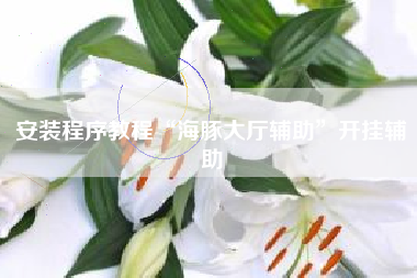 安装程序教程“海豚大厅辅助”开挂辅助
