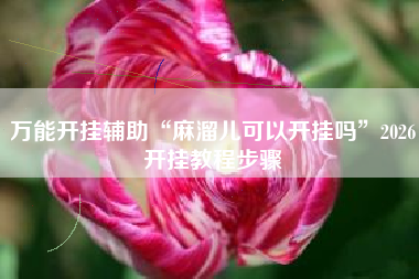 万能开挂辅助“麻溜儿可以开挂吗	”2026开挂教程步骤