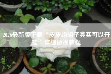 2026最新版下载“皮皮跑胡子其实可以开挂	”详细透视教程