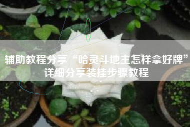 辅助教程分享“哈灵斗地主怎样拿好牌	”详细分享装挂步骤教程