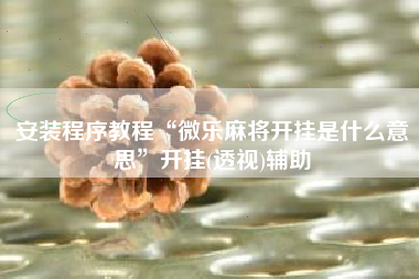 安装程序教程“微乐麻将开挂是什么意思	”开挂(透视)辅助