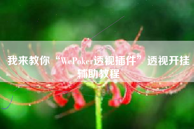 我来教你“WePoker透视插件”透视开挂辅助教程