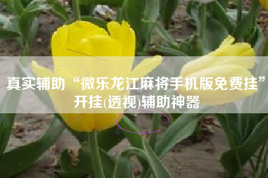真实辅助“微乐龙江麻将手机版免费挂”开挂(透视)辅助神器