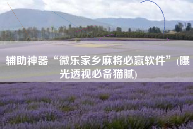 辅助神器“微乐家乡麻将必赢软件”(曝光透视必备猫腻)