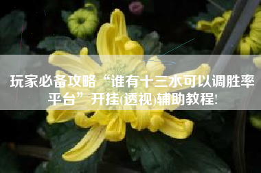 玩家必备攻略“谁有十三水可以调胜率平台”开挂(透视)辅助教程!