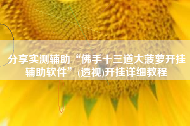 分享实测辅助“佛手十三道大菠萝开挂辅助软件”(透视)开挂详细教程