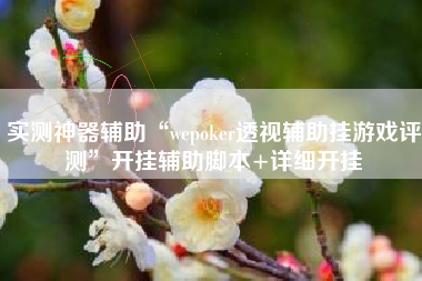 实测神器辅助“wepoker透视辅助挂游戏评测	”开挂辅助脚本+详细开挂