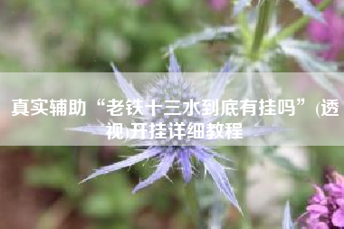 真实辅助“老铁十三水到底有挂吗”(透视)开挂详细教程