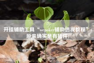 开挂辅助工具“wepoker辅助透视教程	”(原来确实是有插件)