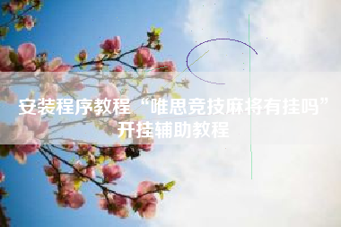 安装程序教程“唯思竞技麻将有挂吗	”开挂辅助教程