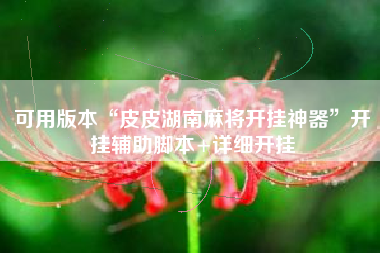 可用版本“皮皮湖南麻将开挂神器”开挂辅助脚本+详细开挂