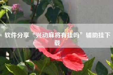 软件分享“兴动麻将有挂吗	”辅助挂下载