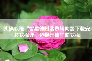 实操教程“智星德州菠萝辅助器下载安装教程详	”透视开挂辅助教程