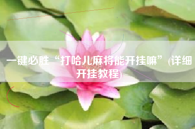 一键必胜“打哈儿麻将能开挂嘛”(详细开挂教程)