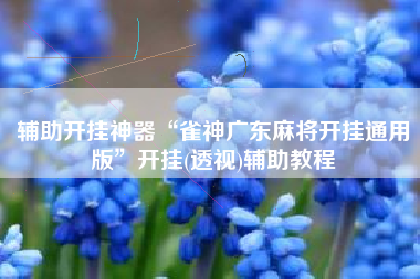 辅助开挂神器“雀神广东麻将开挂通用版”开挂(透视)辅助教程