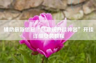 辅助最新信息“随意玩开挂神器”开挂详细安装教程