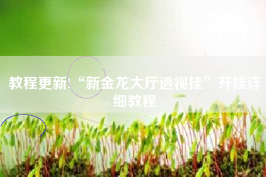 教程更新!“新金龙大厅透视挂”开挂详细教程