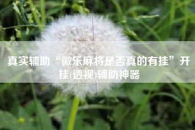 真实辅助“微乐麻将是否真的有挂”开挂(透视)辅助神器