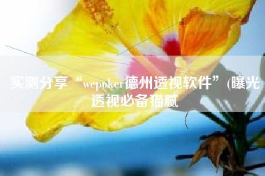 实测分享“wepoker德州透视软件”(曝光透视必备猫腻