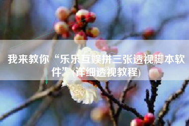 我来教你“乐乐互娱拼三张透视脚本软件”(详细透视教程)