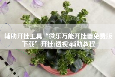 辅助开挂工具“微乐万能开挂器免费版下载”开挂(透视)辅助教程