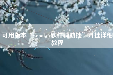 可用版本“wepoker软件辅助挂”开挂详细教程