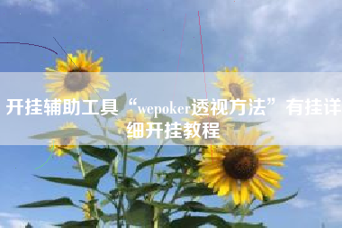开挂辅助工具“wepoker透视方法”有挂详细开挂教程