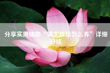 分享实测辅助“填大坑挂怎么弄”详细开挂