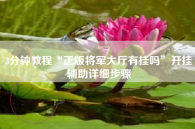 3分钟教程“正版将军大厅有挂吗”开挂辅助详细步骤