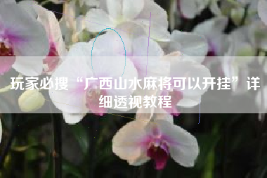 玩家必搜“广西山水麻将可以开挂	”详细透视教程