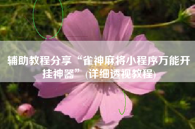 辅助教程分享“雀神麻将小程序万能开挂神器”(详细透视教程) 辅助教程分享“雀神麻将小程序万能开挂神器”(详细透视教程)