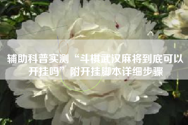 辅助科普实测“斗棋武汉麻将到底可以开挂吗”附开挂脚本详细步骤