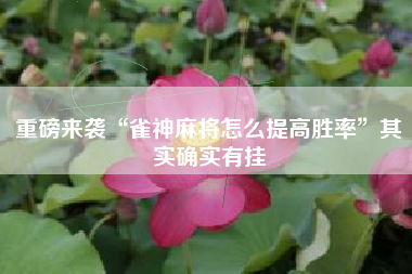 重磅来袭“雀神麻将怎么提高胜率	”其实确实有挂