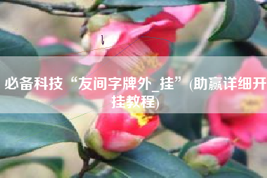 必备科技“友间字牌外_挂	”(助赢详细开挂教程)