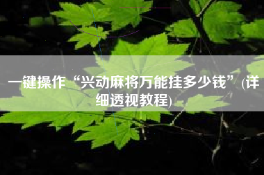一键操作“兴动麻将万能挂多少钱	”(详细透视教程)