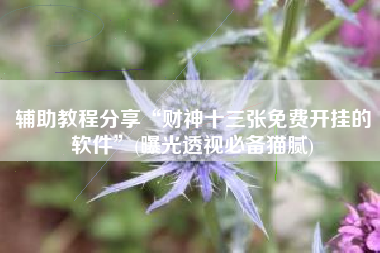 辅助教程分享“财神十三张免费开挂的软件	”(曝光透视必备猫腻)