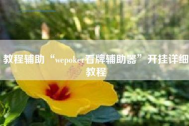 教程辅助“wepoker看牌辅助器”开挂详细教程