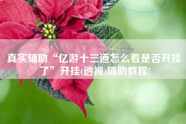 真实辅助“亿游十三道怎么看是否开挂了”开挂(透视)辅助教程!