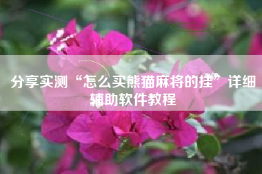分享实测“怎么买熊猫麻将的挂”详细辅助软件教程