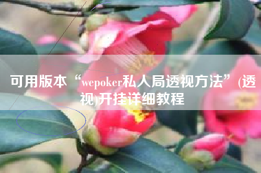 可用版本“wepoker私人局透视方法”(透视)开挂详细教程