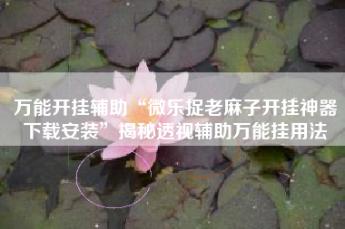万能开挂辅助“微乐捉老麻子开挂神器下载安装”揭秘透视辅助万能挂用法