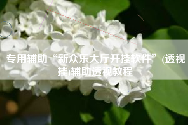 专用辅助“新众乐大厅开挂软件”(透视挂)辅助透视教程