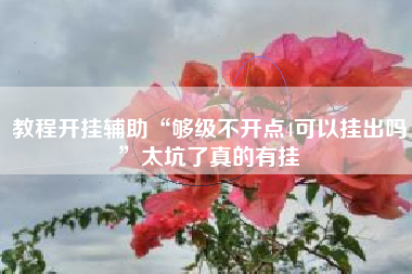 教程开挂辅助“够级不开点4可以挂出吗”太坑了真的有挂