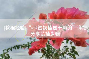 [教程经验]“wpk透视挂是干嘛的”详细分享装挂步骤