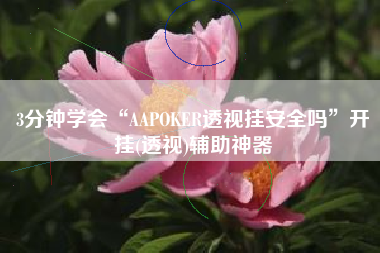 3分钟学会“AAPOKER透视挂安全吗”开挂(透视)辅助神器