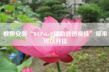 教你安装“WEPokeR辅助器透视挂”原来可以开挂