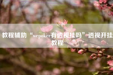 教程辅助“wepoker有透视挂吗	”透视开挂教程