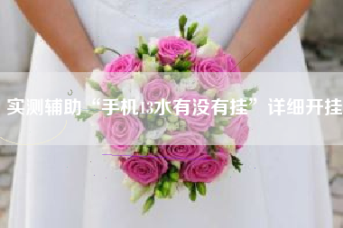 实测辅助“手机13水有没有挂	”详细开挂