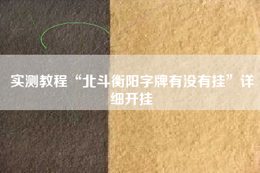 实测教程“北斗衡阳字牌有没有挂”详细开挂