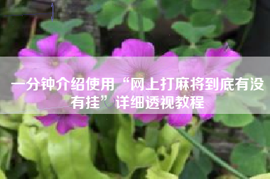 一分钟介绍使用“网上打麻将到底有没有挂”详细透视教程